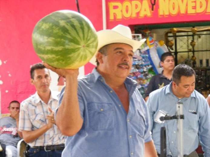 Contra Advertencia de la SAGARPA por Clima Productores Sembrarán mil Hectáreas de Sandía