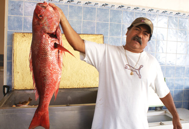 Pescadores del Mercado del Mar de la Cruz de Huanacaxtle Contarán con su Propia Subestación Eléctrica