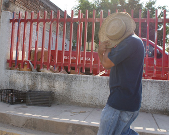 Acusan a Funcionario de SSN de Sostener Relación Amorosa con Trabajadora de Empleo Temporal de la SEDESOL