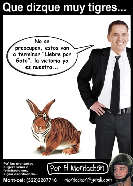 Cartoon/ Liebre X Gato
