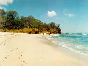 Riviera Nayarit y CPTM lanzan campañas en línea de forma conjunta