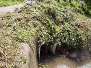 Infraestructura para Drenes y Reubicar Vecinos en Mezcales muy Costoso: Paniagua