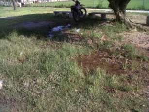 Basura y Dengue