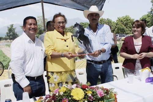 VII Ayuntamiento no Pago 15 MDP por IMSS y el ISR de los Trabajadores del SUTSEM