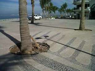 52 Mil Pesos Información del Malecón Habrá Boteo