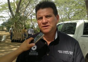 Inician en Febrero Reforestación y Rehabilitación en Plazas Públicas de Bahía