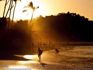 Sayulita: Un Paraíso
