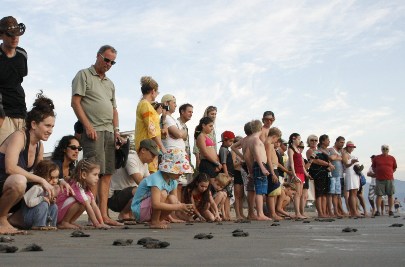 En Bahía de Banderas Vivirás la Gran Aventura de la Vida