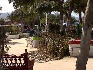 Roberto González Aspira Regiduría; Colonias Llenas de Hojarasca y Basura