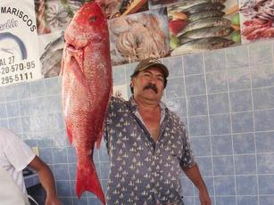En Cuaresma Poca Pesca de Ejemplares Pequeños