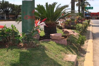 Mejora Drásticamente la Imagen Urbana de Bahía