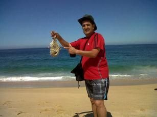 Petróleo en Playa de Mayto, Provocó Muerte de Peces