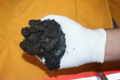 Hidrocarburo en Playas de Bahía, no Afecta Recertificación de Playas