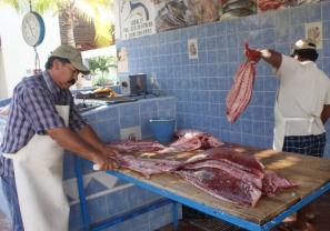 Pescadores Celebrarán Con Peregrinación Día de la Santa Cruz