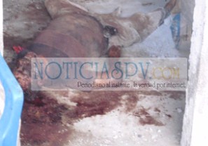 A Machetazos Mataron a un Adulto Mayor en San Vicente