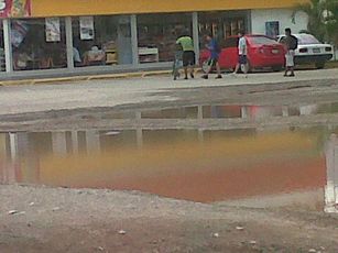 Demasiados Moscos; Temor por Dengue