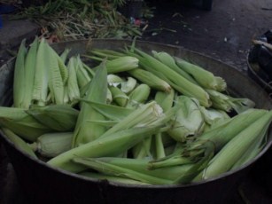 Riviera Nayarit Invita a Disfrutar la Feria del Elote en Nayarit Colonial