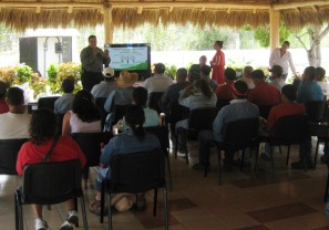 Emprenden Programa Nuevo Vallarta Verde