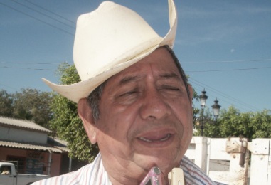 Logran Cosecha de 2 mil 900 Toneladas de Arroz en Bahía