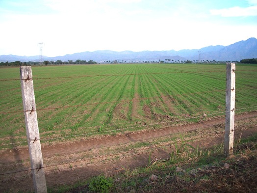 Rescata la Unidad de Riego más de 2 mil Hectáreas de Tierra para Cultivo