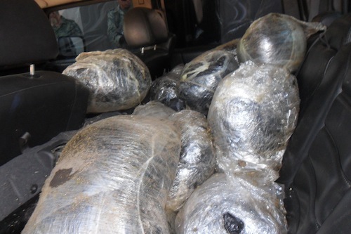Aseguran Droga en Ixtlán del Río, Nayarit
