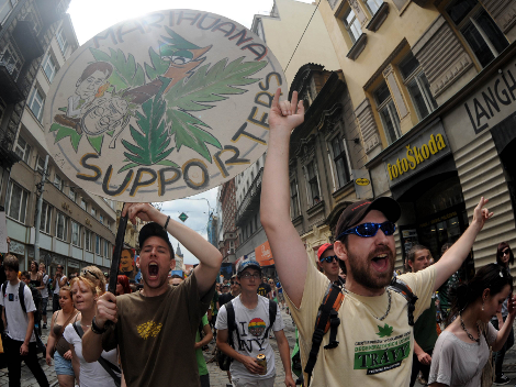 Aprueban uso terapéutico de la mariguana en República Checa