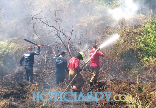 Gran Incendio de Pastizales en Mezcales Bajo Control de PC