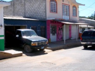 Denuncian Contaminación por Matanza Clandestina de Pollos en San Vicente