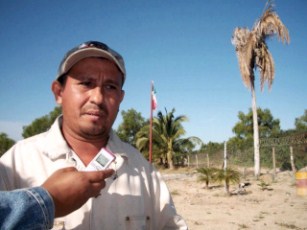 Sin Recursos para Combatir Plagas: Sanidad Vegetal