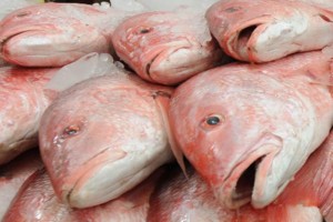 En la Edad de Hielo se cocinaba pescado