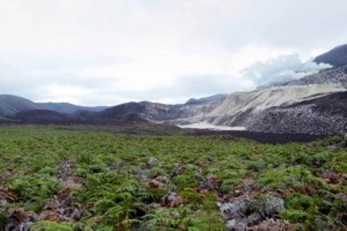 Las Galápagos en su computadora