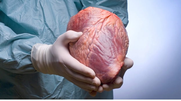 Busca Salud aumentar la donación cadavérica