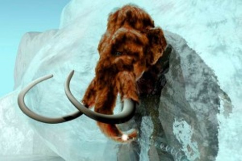 Desean Descifrar Genoma Para Clonar Mamut