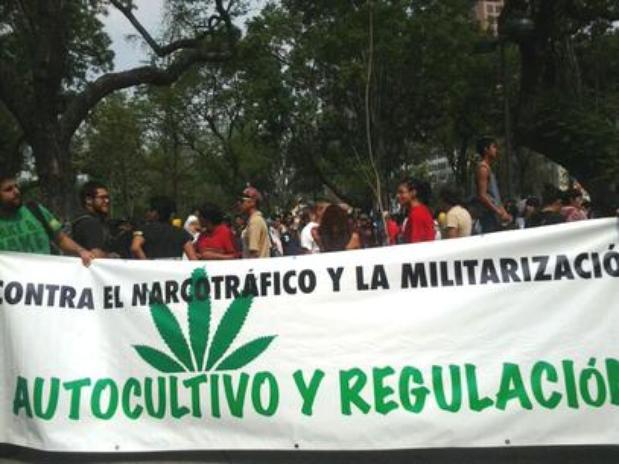 Acuerdan perredistas debatir la legalizacion de la marihuana