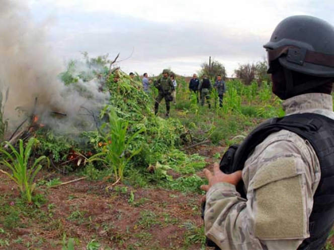 PGR: Tráfico y uso de drogas, uno de los problemas más costosos