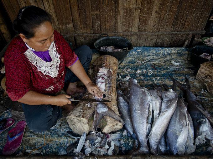 Ya consumimos mucha carne roja, ahora vamos por el pescado