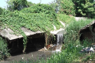 Despide Olores Nauseabundos Agua Tratada Estancada en Dren del Porvenir