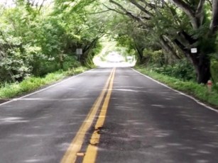 Falta de Poda en Tramo Carretero a Lo de Marcos Pone en Riesgo a Conductores