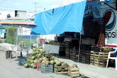 Sin Control de Fiscalización y Tránsito Calle Principal de Valle Dorado