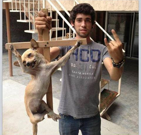 Repudian a joven cargando a perro crucificado en Facebook