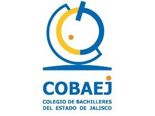 Cobaej Jalisco Confirma Maestro Bajo Investigación