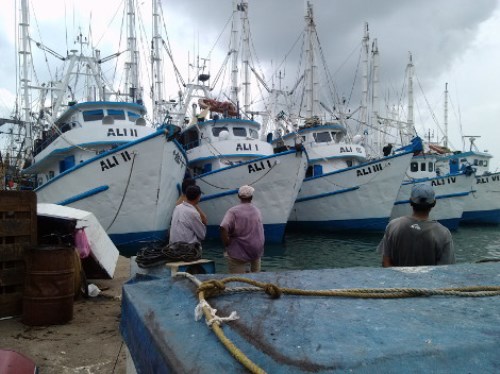 Piratas roban 3 toneladas de camarón en Sinaloa