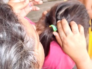 Epidemia de Piojos en las Escuelas