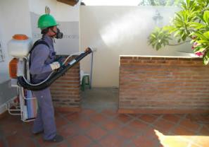 Arrancará Programa Emergente Contra el Dengue en Bahía