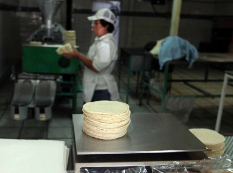PT pide que baje el precio de la tortilla