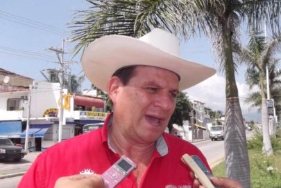 Reciben Tratamiento Palmeras del Camellón de la Carretera 200
