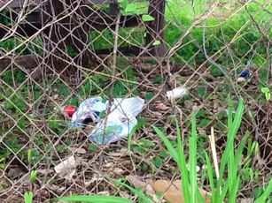 Basura y Lotes Baldíos, Criaderos para Mosco de Dengue en Floresta
