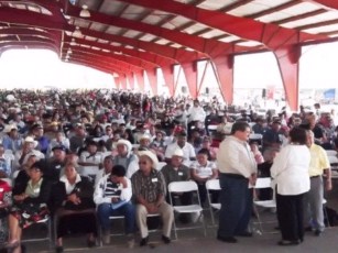 Posponen la Asamblea de Morena en Nayarit: no Cumplió Requisitos del IFE