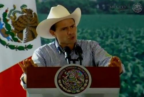 Estamos sembrando para cosechar desarrollo y progreso: Peña