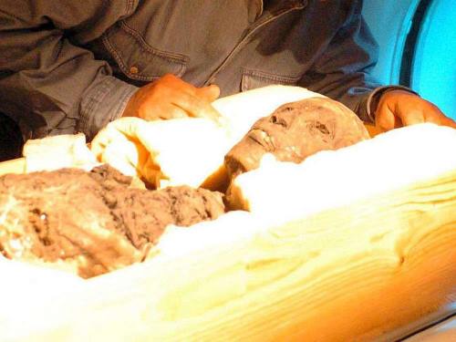 El Gran Tutankamón murió atropellado, revela estudio
